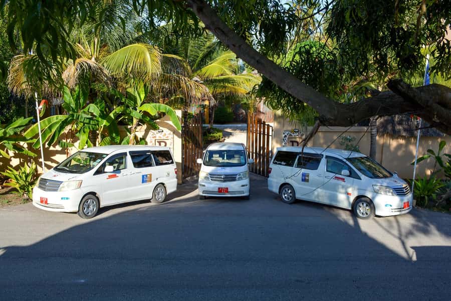 Zanzibar : Prison Island Tour - Price and Value: Is $60 Worth It?