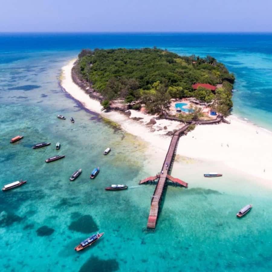 Zanzibar: Prison Island Tour with Giant Tortoises &Boat Ride - Prison ruins and quarantine-era history without the heavy slog