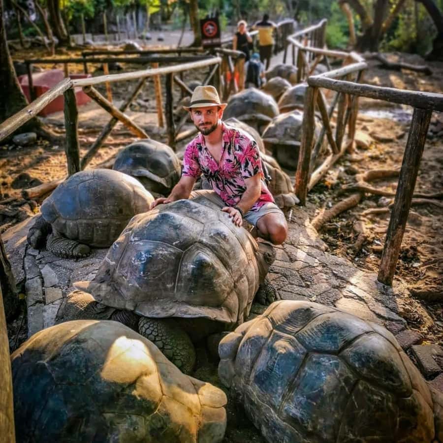 Zanzibar: Prison Island Tour with Giant Tortoises &Boat Ride - Guides, languages, and how to get the most out of the explanations