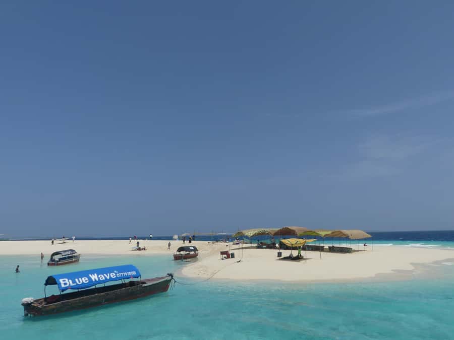Zanzibar: Prison Island Tour with Lunch on the Sandbank - What $99 covers, and when it feels like a good deal
