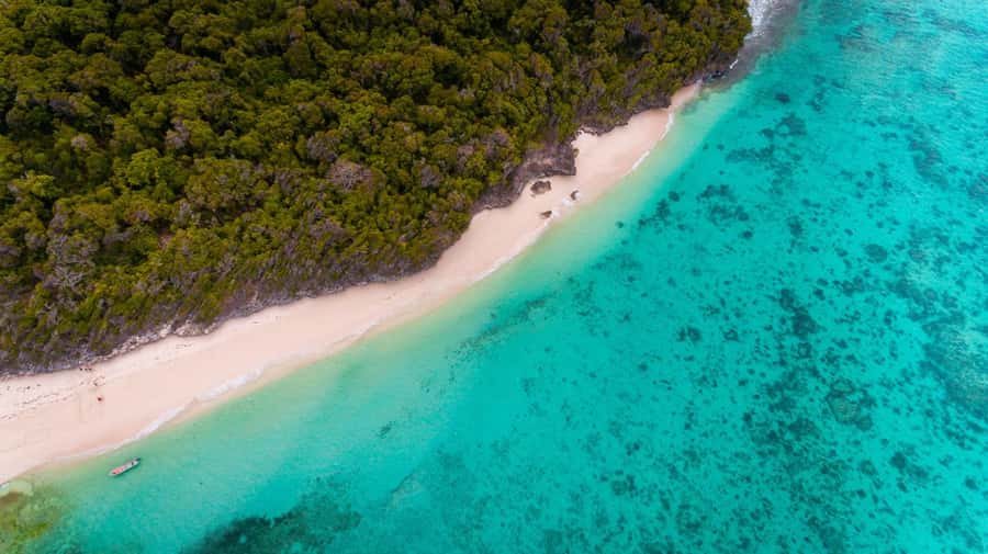 Zanzibar: Private Sail to Pungume Sandbank with BBQ Lunch - Key highlights you should care about