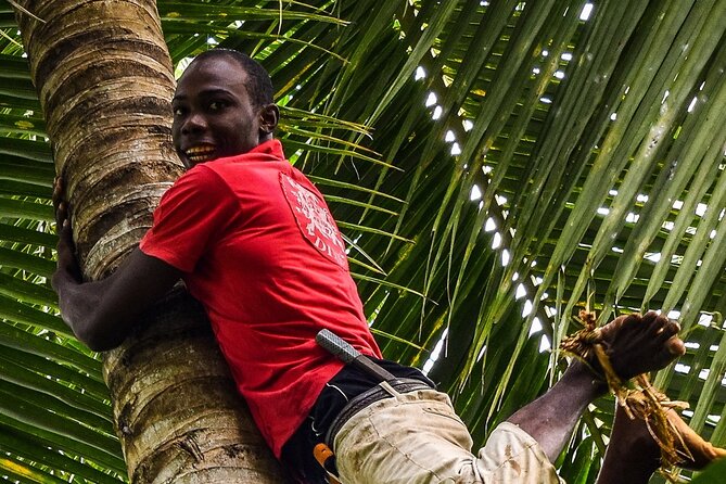 Zanzibar Private Spice Farm and Stonetown Tour(Include Lunch) - The coconut moment: taste it, then head out