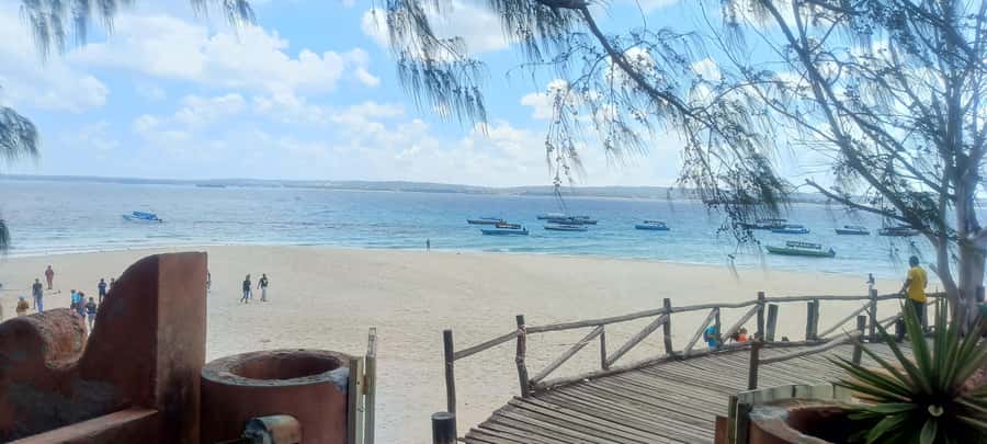 Zanzibar: Private SpiceFarm, PrisonIsland And StoneTown Tour - Shabuta Spice Farm: learn how spices grow in small plots