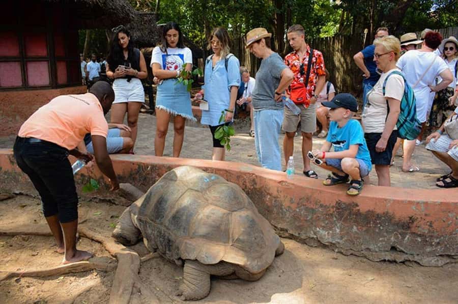 Zanzibar: Private Stone Town, Prison Island & SpiceFarm Tour - Price and value for $99, what’s included and what you should plan for