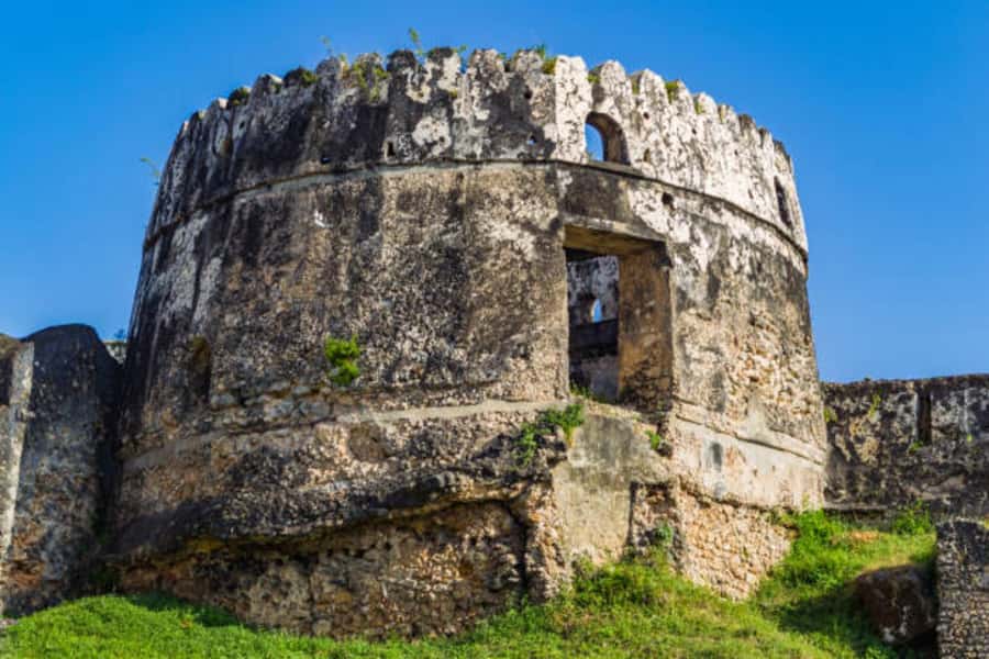 Zanzibar: Private Stone Town & Prison Island Tour - Stone Town on Foot, With a Private Guide
