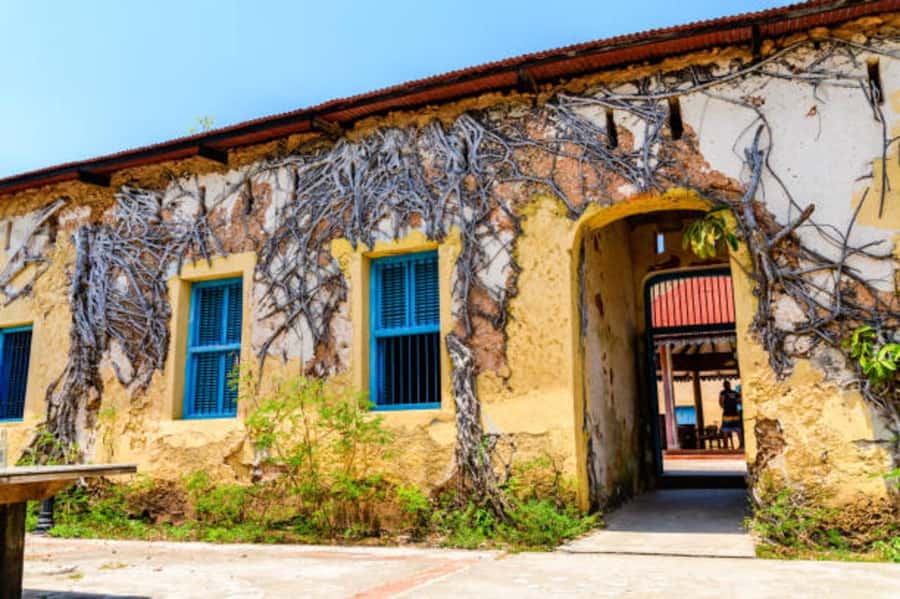Zanzibar: Private Stone Town & Prison Island Tour - Forodhani Gardens and Darajani Bazaar: Shopping Time That Feels Local