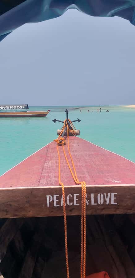 Zanzibar: Private Stone Town & Prison Island Tour - From Zanzibar City to Changuu Island: The Speedboat Ride