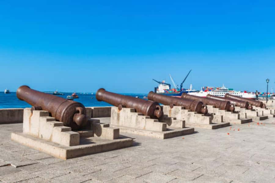 Zanzibar: Private Stone Town & Prison Island Tour - Price and Value for a Private Half-Day at $90
