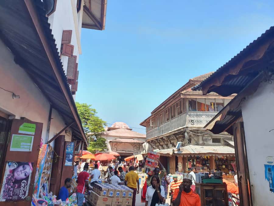 Zanzibar: Private walking tour in stone town - Stone Town’s Narrow Streets, and Why This Walk Makes Sense