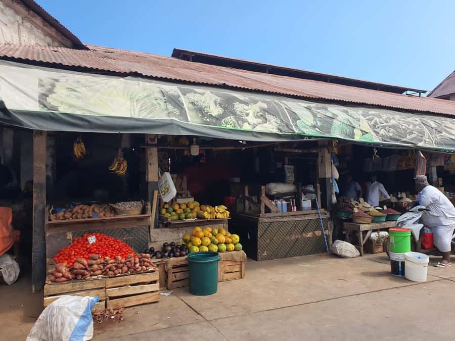 Zanzibar: Private walking tour in stone town - House of Wonders and Palace Museum: Architecture With Meaning