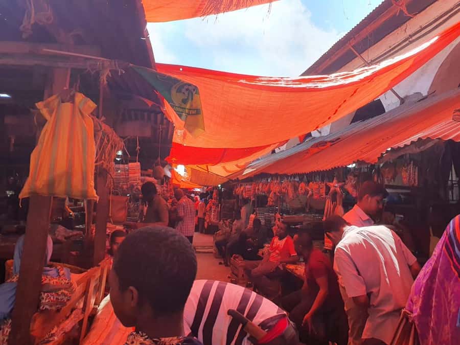 Zanzibar: Private walking tour in stone town - Who This Tour Fits Best