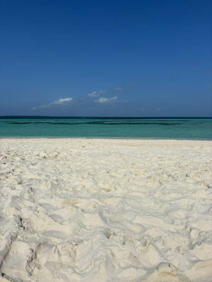 Zanzibar: Pungume island-dolphin watching - BBQ Lunch - Key things to know before you go