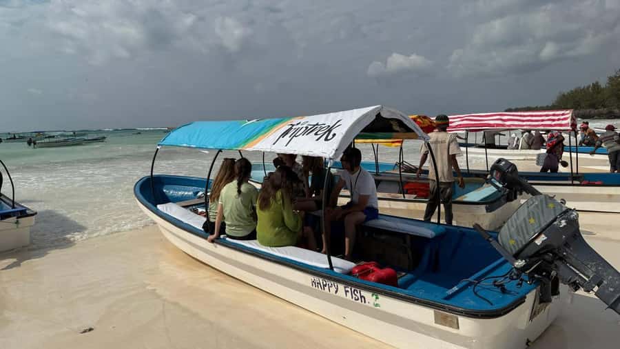 Zanzibar: Pungume island-dolphin watching - BBQ Lunch - Price and value: is $73 a fair deal for this mix?