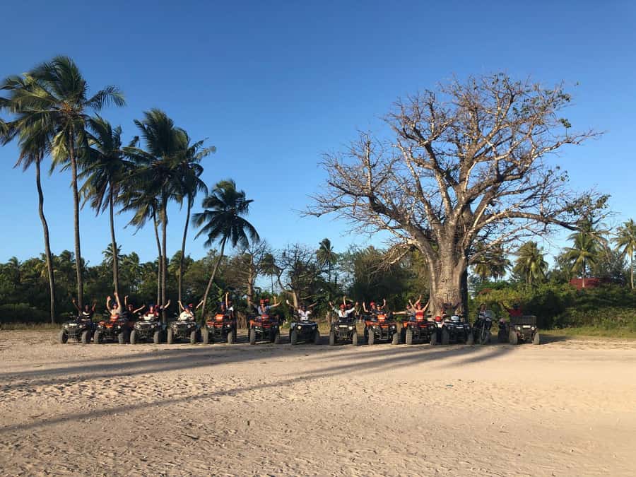 Zanzibar: Quad Bike Adventure Tour to a Local Village - Riding Out of Pwani Majangani: From Main Road to Rice Fields
