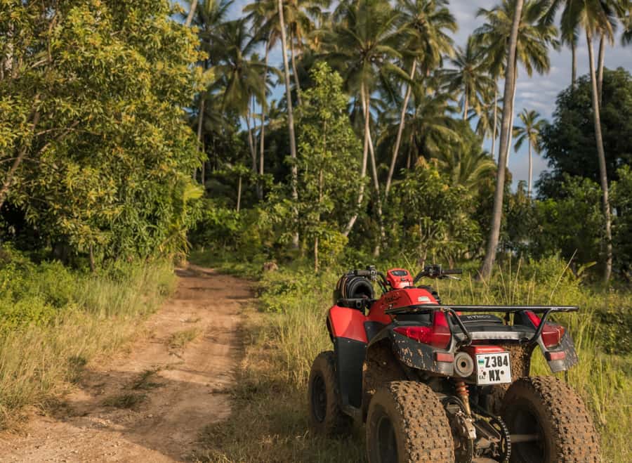 Zanzibar: Quad Off-Road Adventure | Kiwengwa - Key things to know before you go
