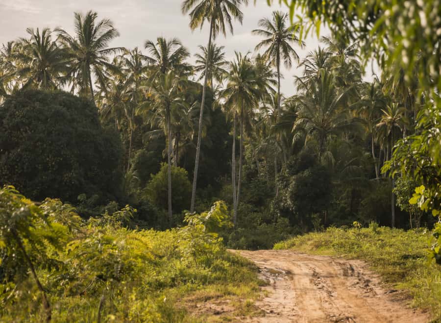 Zanzibar: Quad Off-Road Adventure | Kiwengwa - What to Bring, What Not to Do, and How to Stay Comfortable