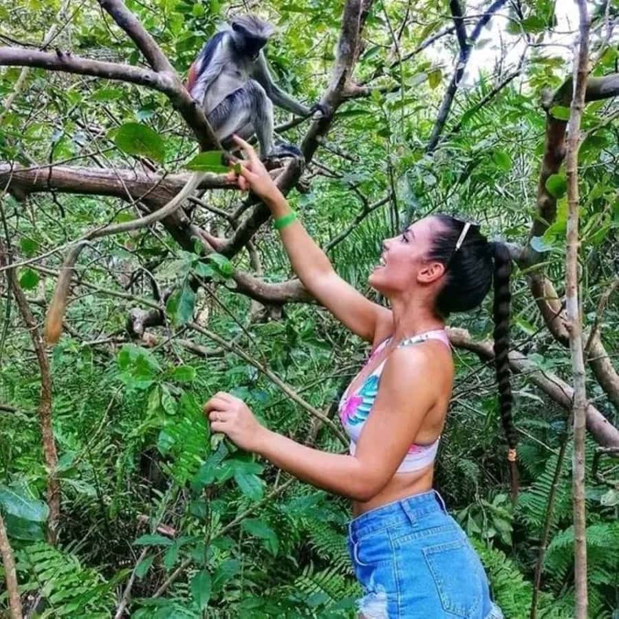 Zanzibar: Red Colobus Monkeys in Jozani Forest Guided Tour - Hotel pickup, the drive to Jozani, and what 3 hours really means