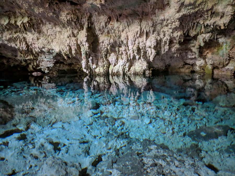 Zanzibar: Rock Restaurant and Cave Tour Visit - Kuza Cave, 50 meters down, limestone, minerals, and a swim that feels worth it