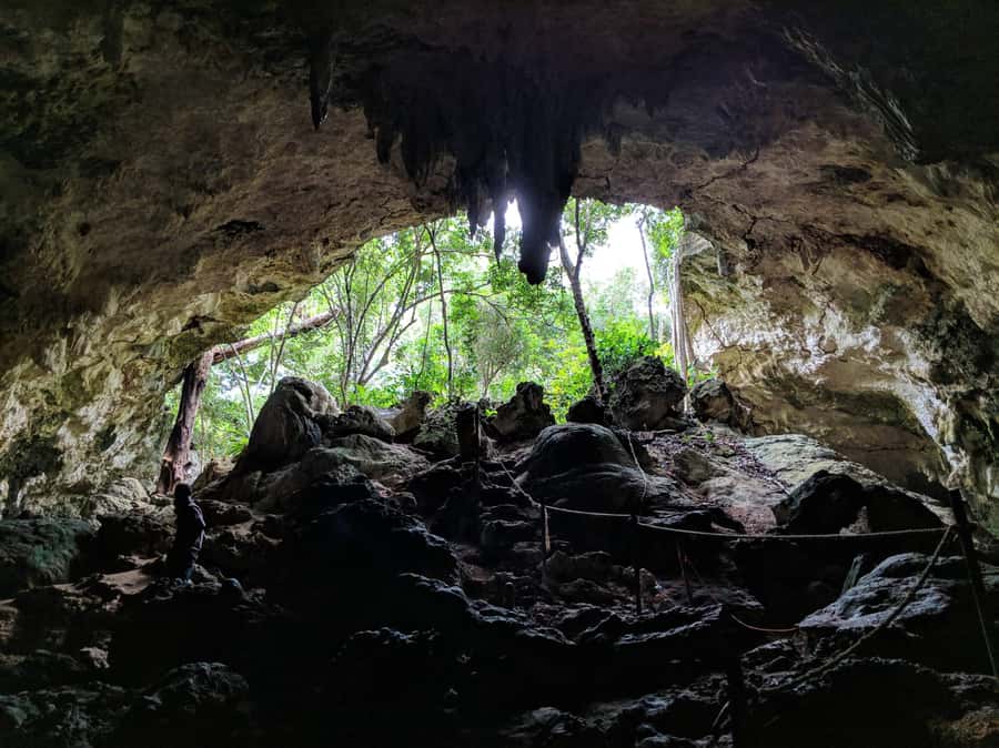 Zanzibar: Rock Restaurant and Cave Tour Visit - Lunch and water, included so you don’t have to think