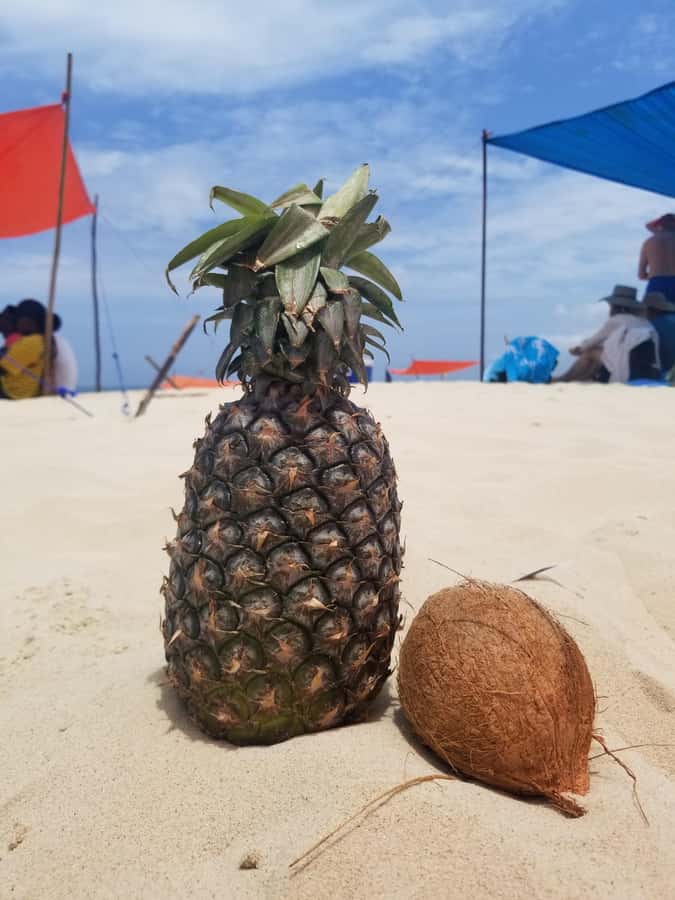 Zanzibar: Safari Blue Day Tour Snorkeling With BBQ Lunch - Snorkeling in Menai Bay: Gear, Timing, and Reef Reality