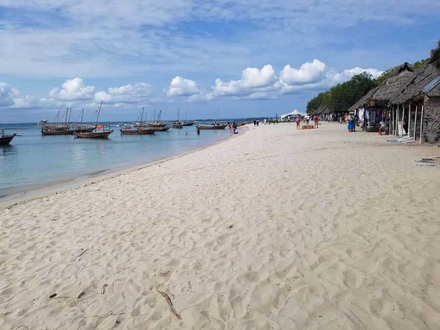 Zanzibar: Safari Blue Day Tour Snorkeling With BBQ Lunch - Kwale Island Seafood BBQ Lunch, Baobab, and the Lagoon Walk