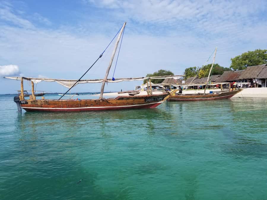 Zanzibar: Safari Blue Day Tour Snorkeling With BBQ Lunch - Who Should Book This Safari Blue Tour (and Who Should Skip It)