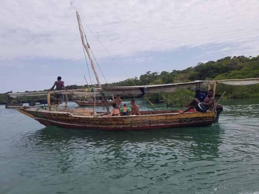 Zanzibar: Safari Blue Day Tour Snorkeling With BBQ Lunch - From Hotel Pickup to Dhow Time: Logistics That Actually Matter