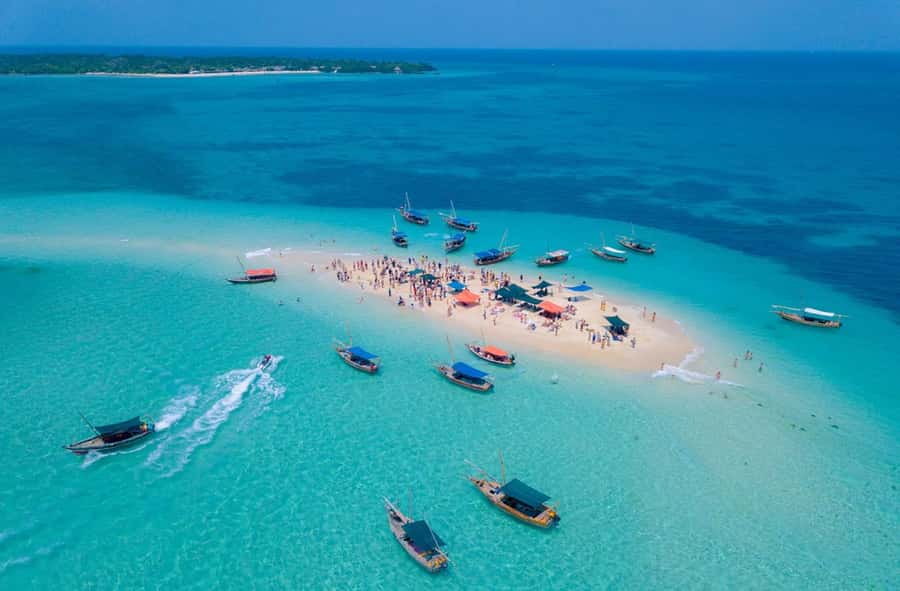 Zanzibar: Safari Blue Day trip with Snorkeling and Lunch - From pickup to Fumba: Your day starts with a real Zanzibar drive