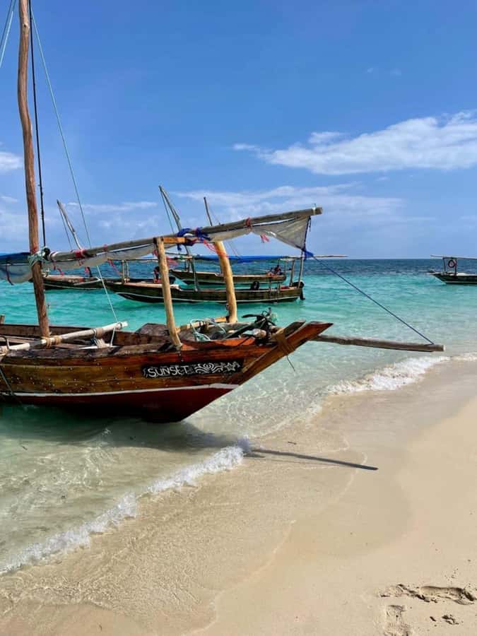 Zanzibar: Safari Blue Full-Day Exploration - Kwale Island: old baobab tree photos and a proper island break