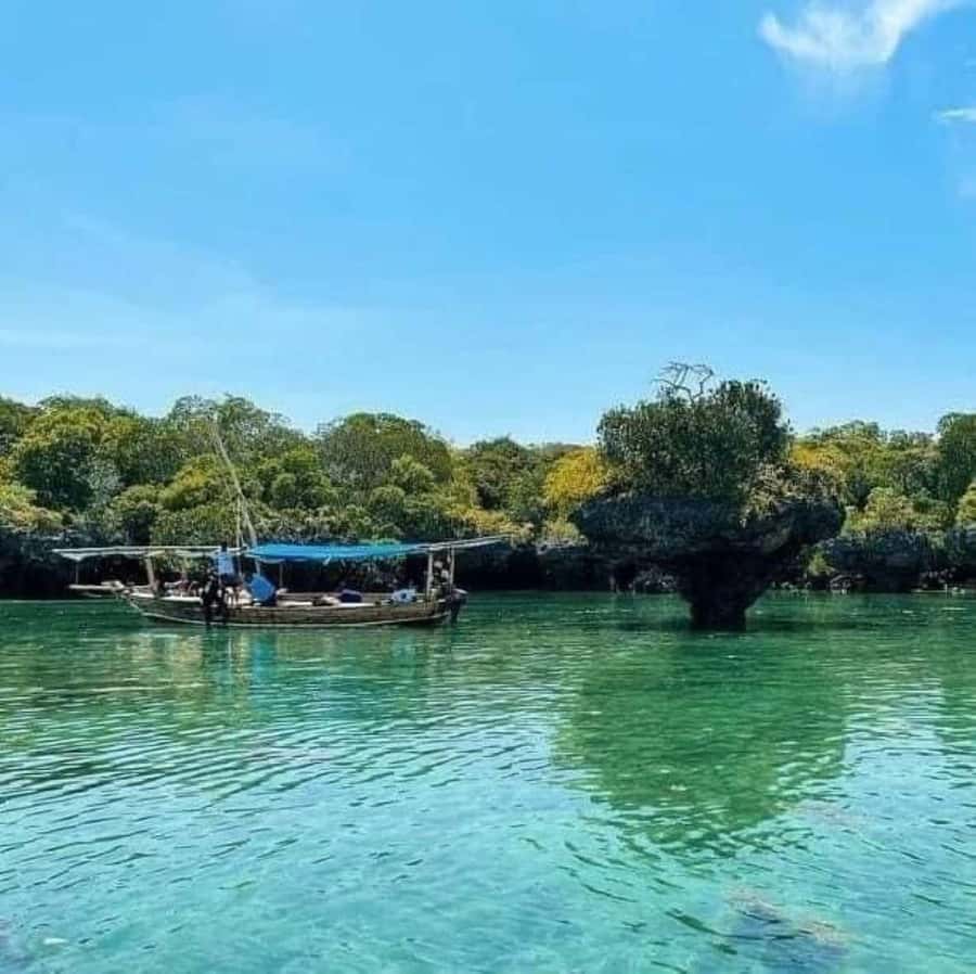 Zanzibar: Safari Blue Full-Day Exploration - Price at $85: when it’s good value, and when it might not be