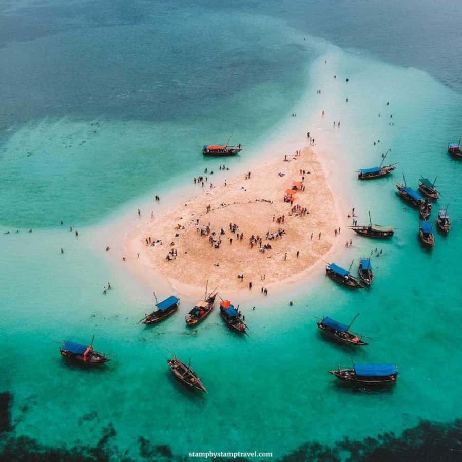 Zanzibar: Safari Blue Full-Day Exploration - Who this tour fits best in Zanzibar