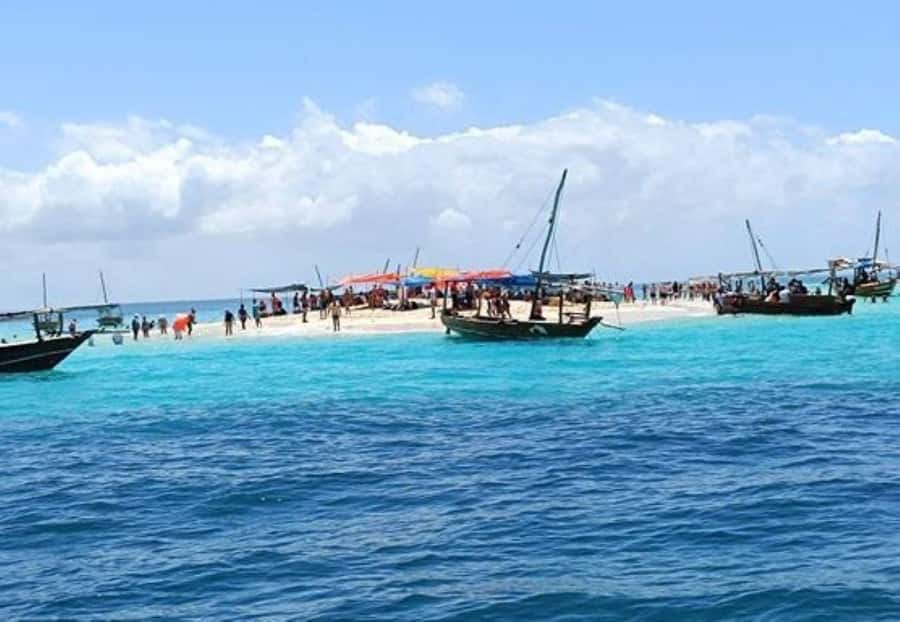 Zanzibar: Safari Blue Full-Day Exploration - Quick practical tips before you go