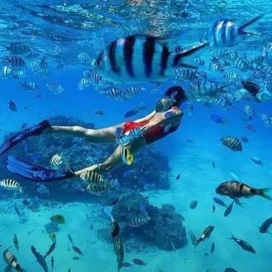 Zanzibar: Safari blue tour - Blue Lagoon natural swimming pool: the best photos, and the tide warning