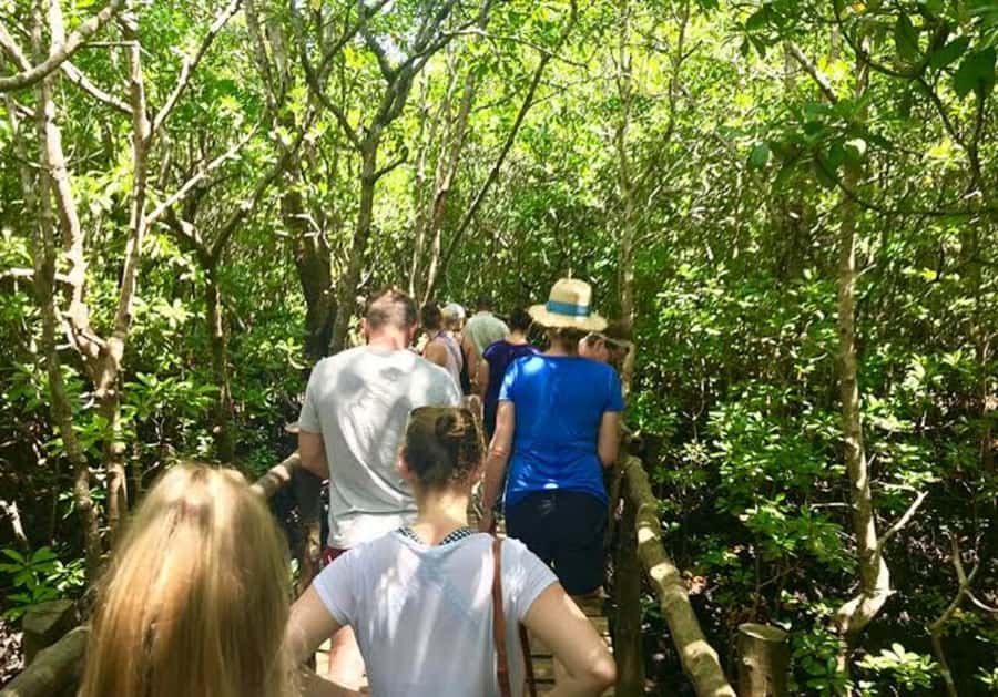 ZANZIBAR: Salaam Cave, Prison Island & Jozani Forest Tour - Key things I’d plan around