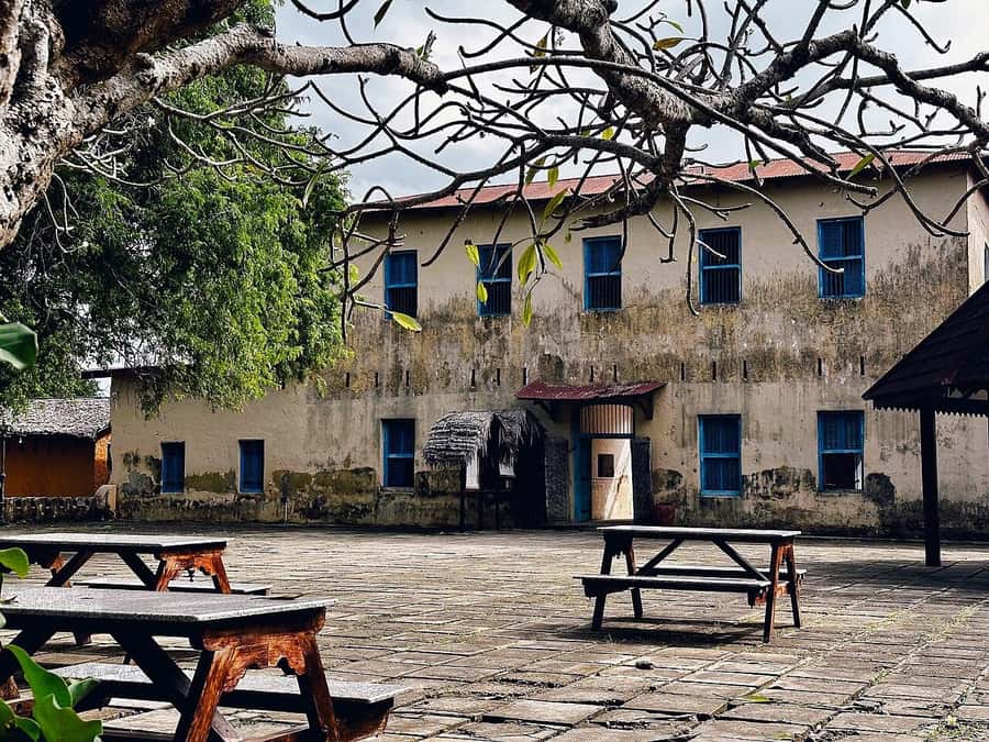 ZANZIBAR: Salaam Cave, Prison Island & Jozani Forest Tour - The 8-hour flow: how the day stays manageable