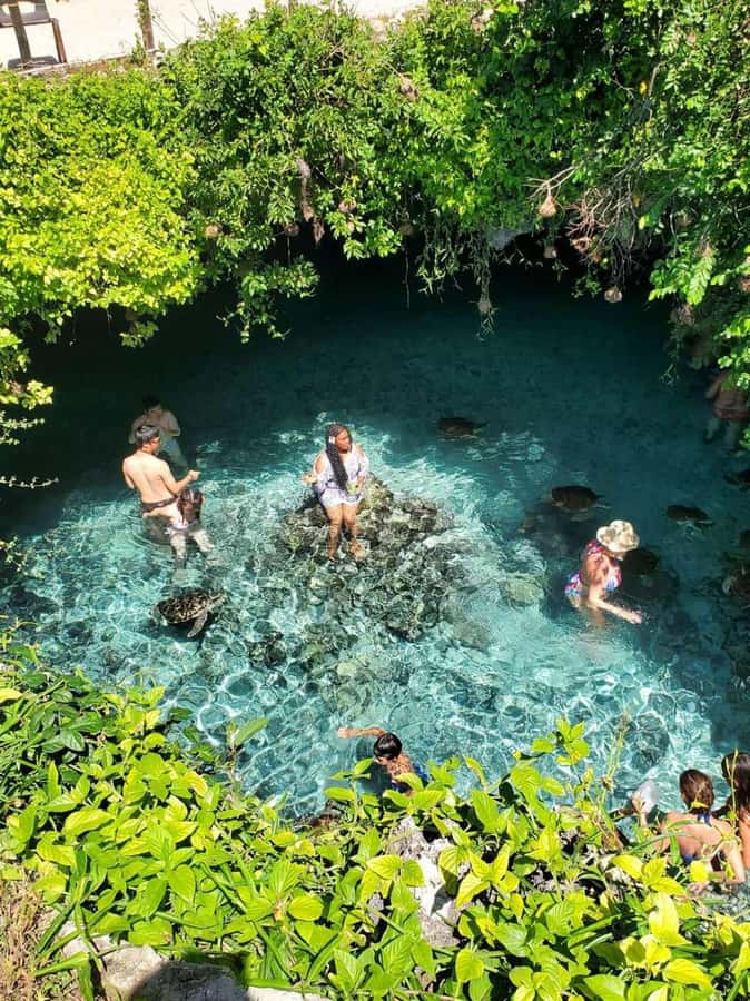 ZANZIBAR: Salaam Cave Swimming with Sea Turtles at Kizimkazi - Salaam Cave in Kizimkazi: What Makes This Sea Turtle Swim Special