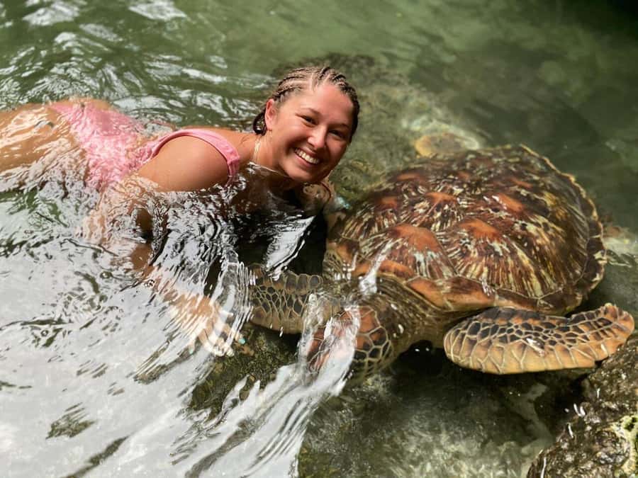 ZANZIBAR: Salaam Cave Swimming with Sea Turtles at Kizimkazi - Price and Value: Is $48 for 1 Hour Turtle Time Fair?