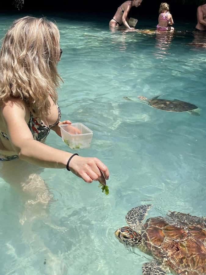 ZANZIBAR: Salaam Cave Swimming with Sea Turtles at Kizimkazi - What to Bring, How to Prepare, and Turtle Rules That Matter