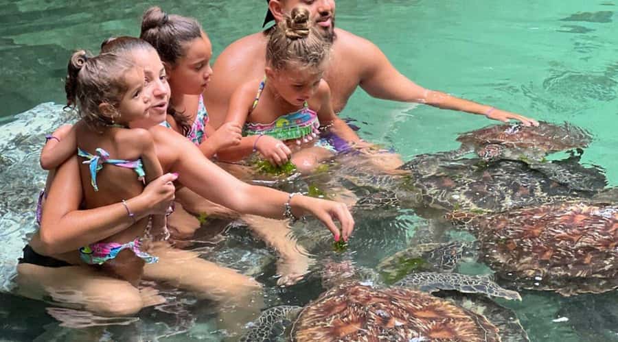 ZANZIBAR: Salaam Cave Swimming with Sea Turtles at Kizimkazi - My Final Take: Should You Book Salaam Cave Sea Turtle Swimming?