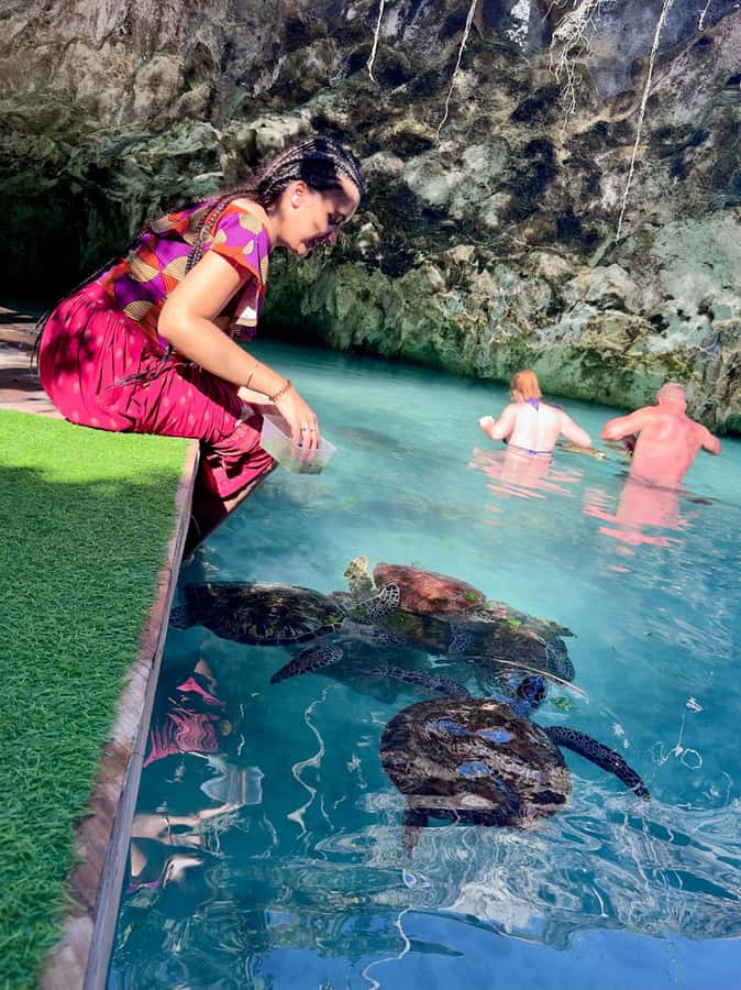 Zanzibar: Sea Turtle Swim at Kizimkazi Salaam Cave Tour - Price and value: does $48 make sense for this Zanzibar experience?