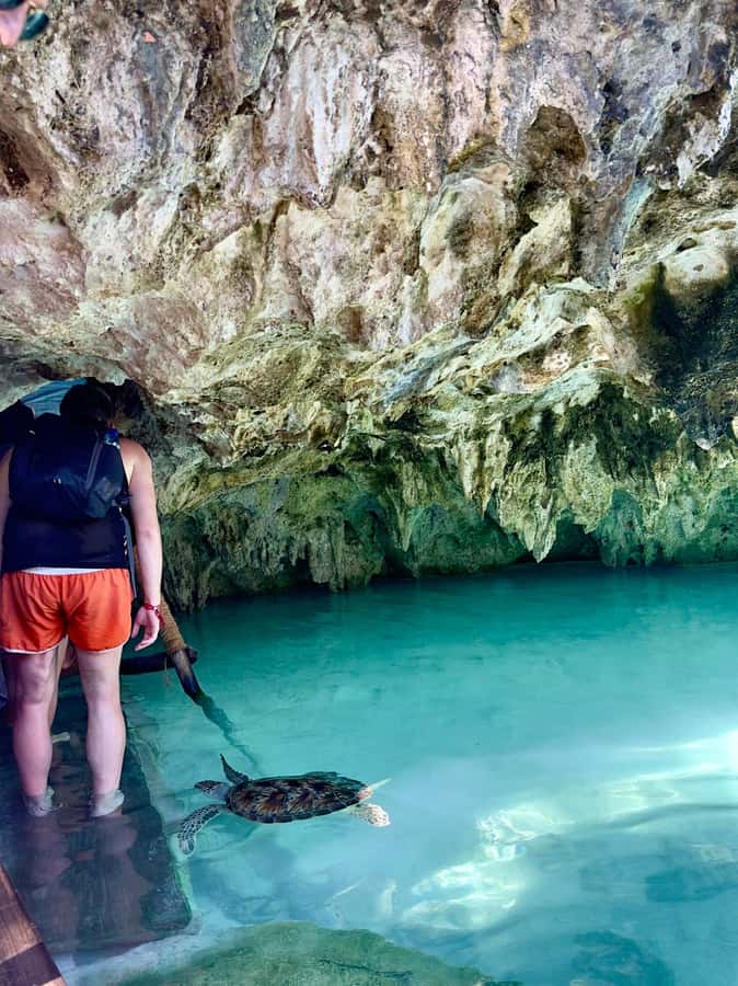 Zanzibar: Sea Turtle Swim at Kizimkazi Salaam Cave Tour - Who should book the Zanzibar Kizimkazi sea turtle swim, and who should skip it