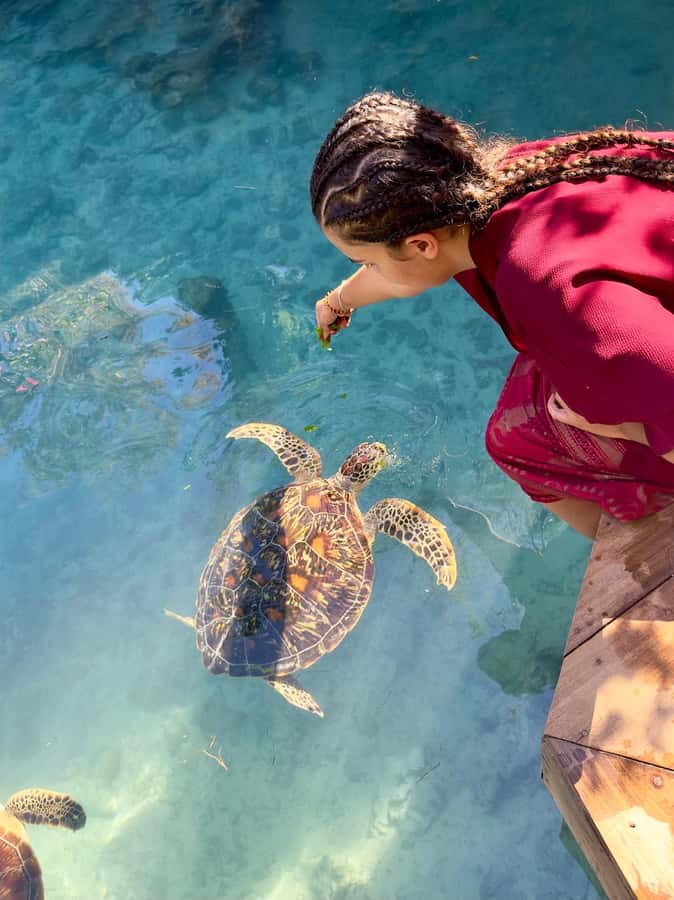 Zanzibar: Sea Turtle Swim at Kizimkazi Salaam Cave Tour - Salaam Cave Aquarium stop: your short breather before the water