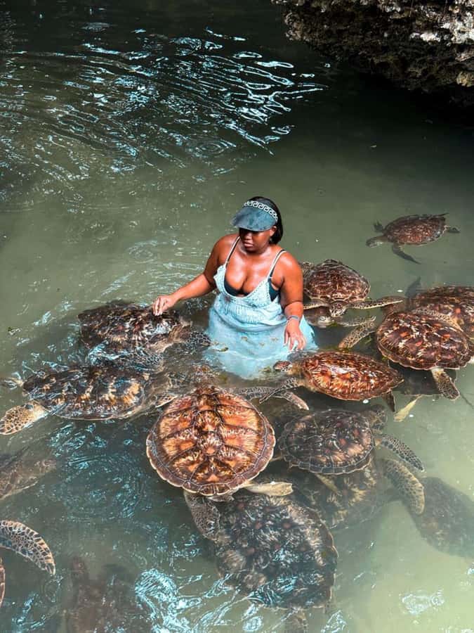 ZANZIBAR: Sea Turtle Swimming & Feeding Experience in NUNGWI - Photos and Clear Blue Water: When Light Matters
