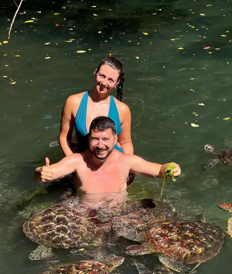 ZANZIBAR: Sea Turtle Swimming & Feeding Experience in NUNGWI - Hotel Pickup and Transfers: A Small Detail With Big Impact