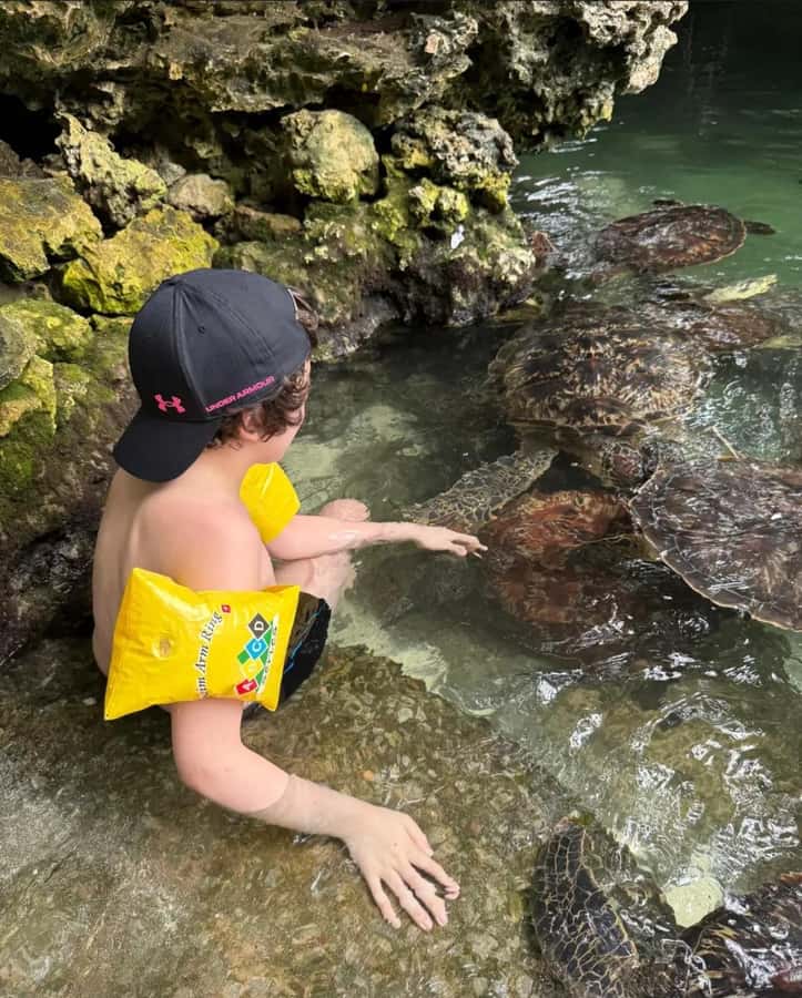 ZANZIBAR: Sea Turtle Swimming & Feeding Experience in NUNGWI - Who This Works Best For in Nungwi