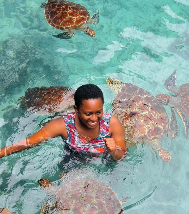 ZANZIBAR: Sea Turtle Swimming & Feeding Experience in NUNGWI - Practical Tips Before You Go (Without Overthinking It)