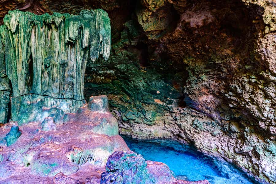 Zanzibar : Secret Beach, Kuza Cave and Jozani with transfer - Jozani Forest National Park: mangroves, red colobus monkeys, and the boardwalk rhythm