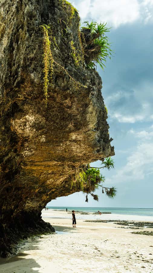 Zanzibar : Secret Beach, Kuza Cave and Jozani with transfer - Getting there smoothly: transfers, timing, and what 6 hours really feels like