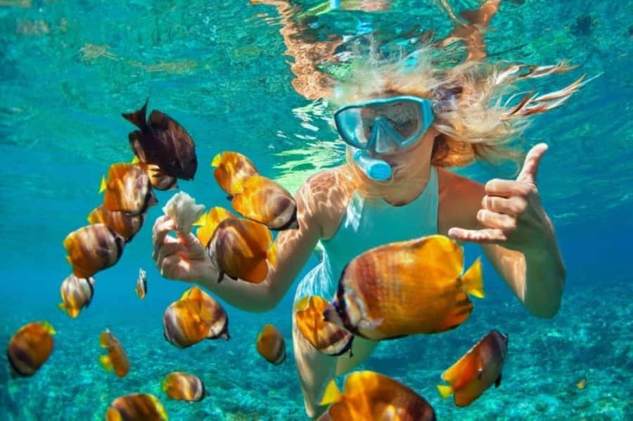 Zanzibar: Snorkeling at blue lagoon & Star fish tour - Key things I’d circle before you go