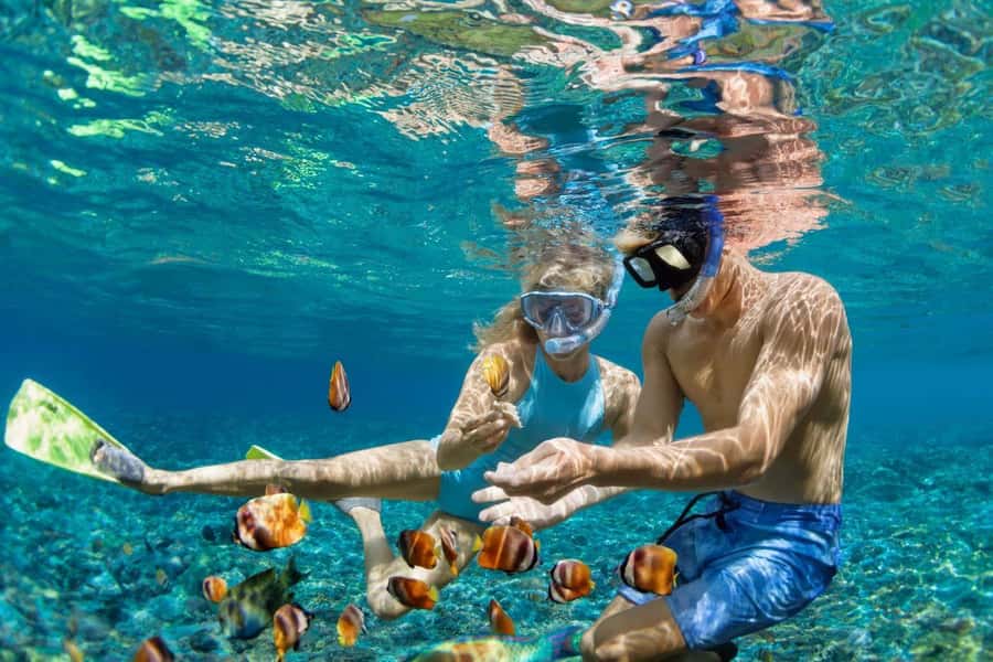 Zanzibar: Snorkeling at blue lagoon & Star fish tour - Private boat ride and captain photo moments